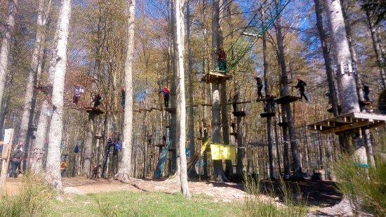Parco Avventura Indiana Park Amiata