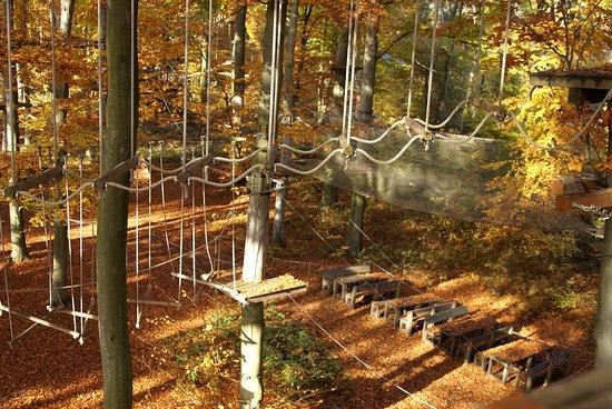 Kletterwald Viernheim