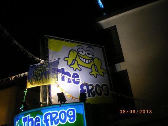 The Frog