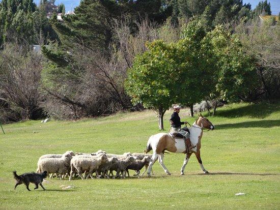 Estancia 25 de Mayo