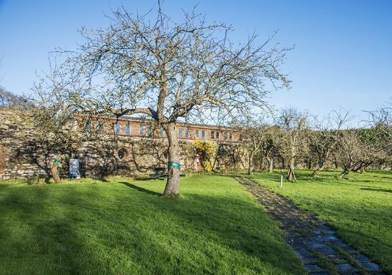 Sonairte Ecology Centre
