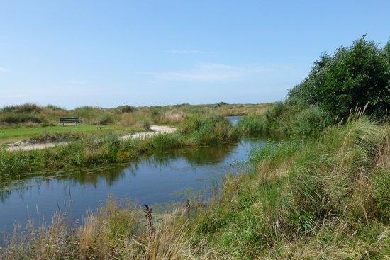 Texelse Golf