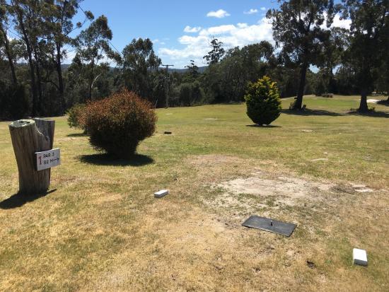 Cerise Brook Orchard and Family Golf Course