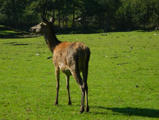 Averegten Provincial Park
