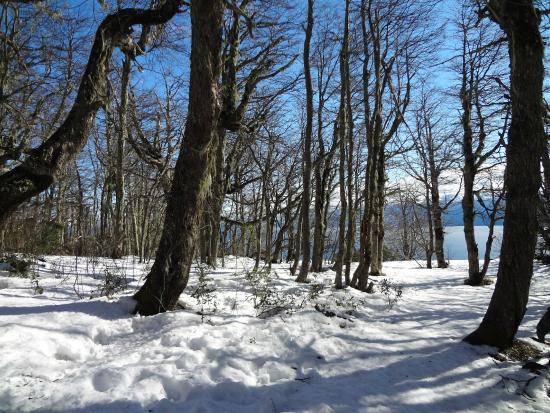 Centro de Ski Nórdico