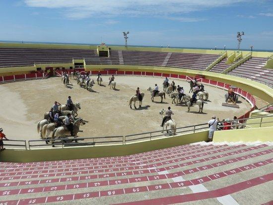 Arene