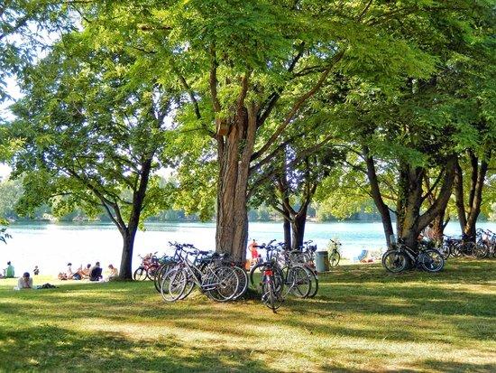 Feldmochinger See