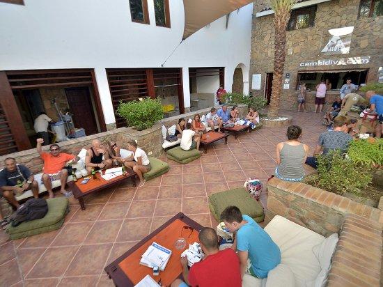 Camel Dive Club