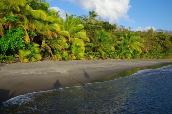 East Carib Dive