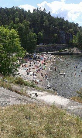 Hvervenbukta