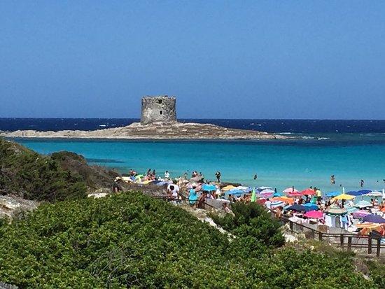Spiaggia La Pelosa