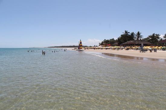 Frances Beach
