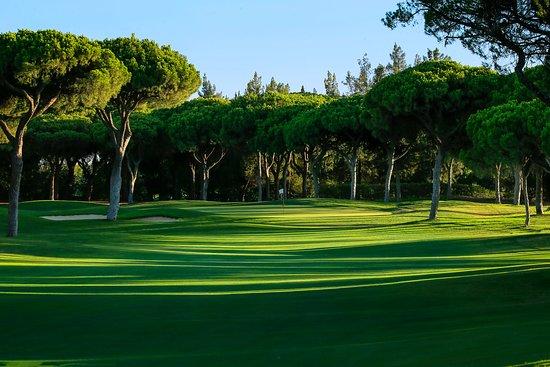 Pole golfowe Oceanico Millennium