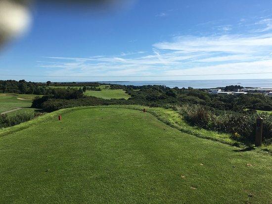 Wexford Golf Club