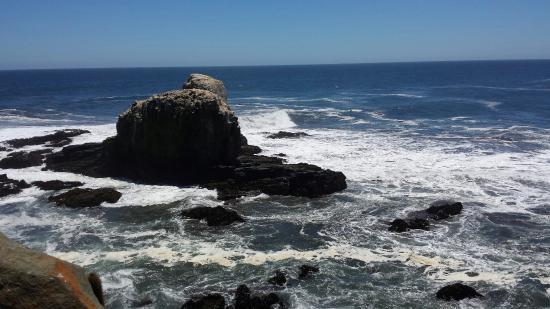Punta de Lobos
