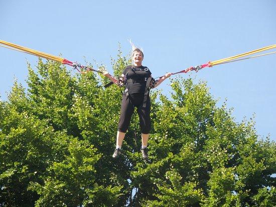 Parc Arbre Aventure