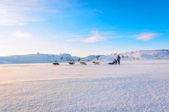 Husky Safari by Snowhotel Kirkenes