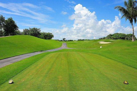 Iberostar Golf Club Playa Paraiso