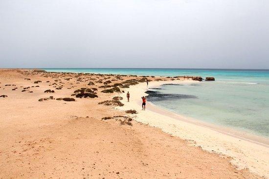 Sharm El Luli