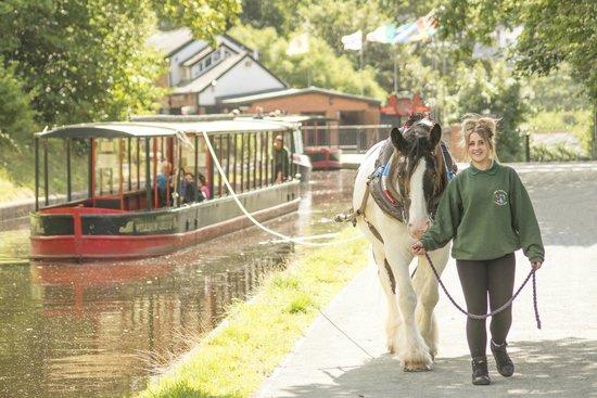Llangollen Wharf Boat Trips