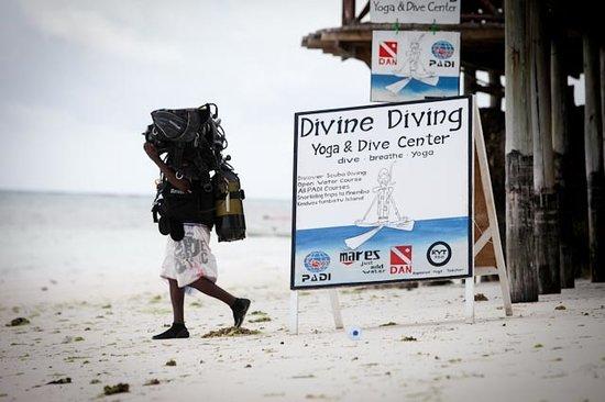 Divine Diving