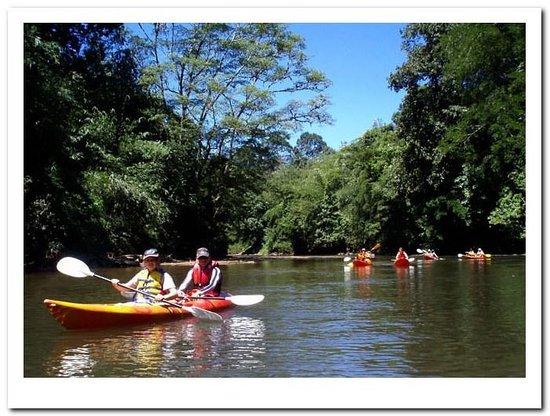 Kuching Kayaking