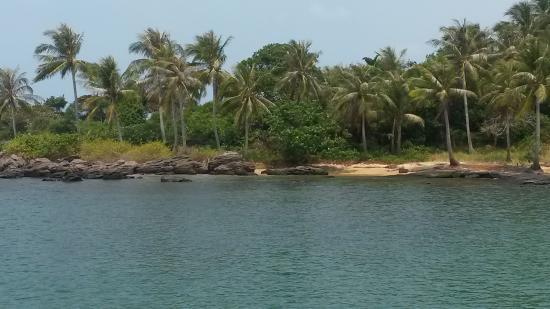 Sunny Boat Trip