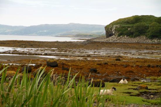 Discover Mull Tours
