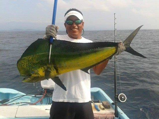 Tino's Sport Fishing & Bay Tours