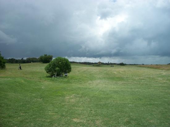 Cardon Miramar Links