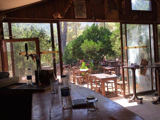 Cafe Cactus