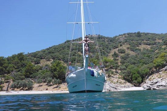 My Blue Cruise