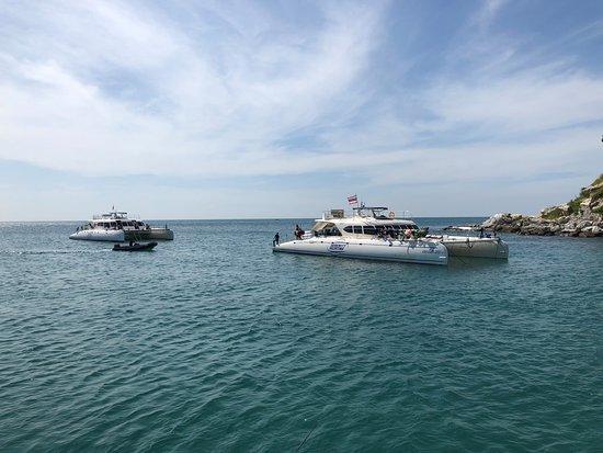Serenity Yachting - Day Cruise