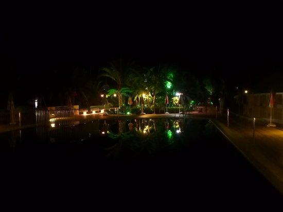 Tree Bar