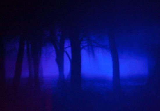 Escape Room Mosel