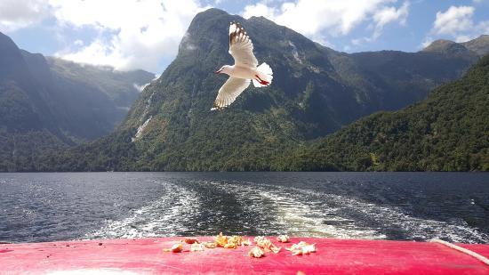 Deep Cove Charters