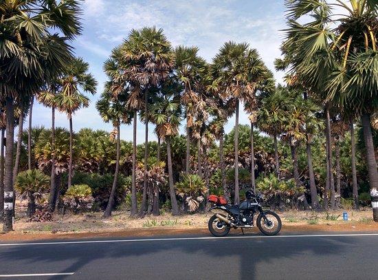 Date A Bike Motorcycle Tours & Rentals