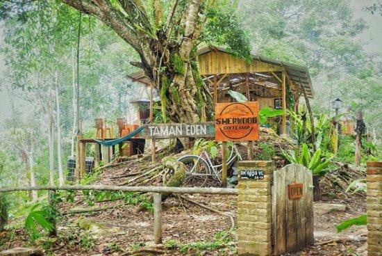 Taman Eden 100