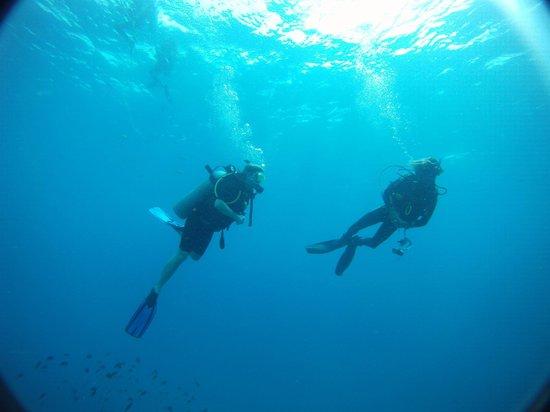 Sea & Sun Divers