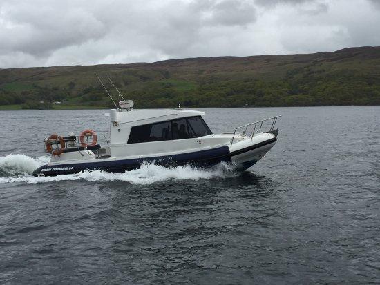 Fyne Sea Tours