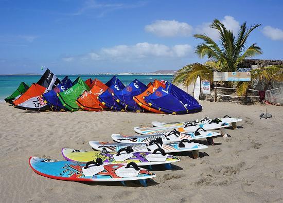 Surf Vista