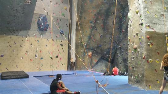 Tumblebees Ultimate Climbing Gym