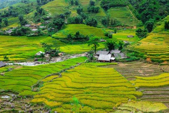 Sapa Authentic Tour