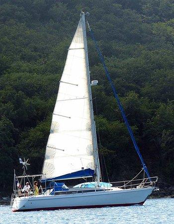 Calypso Voile