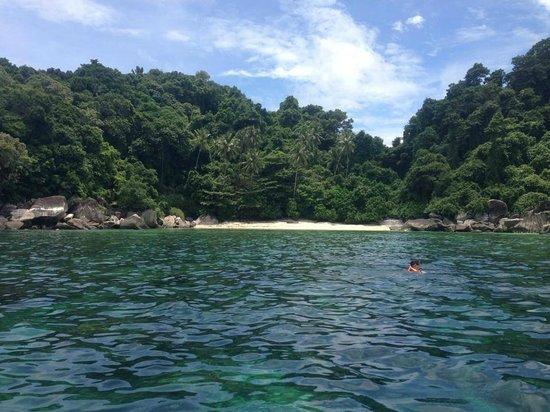 Shamrock Watersport