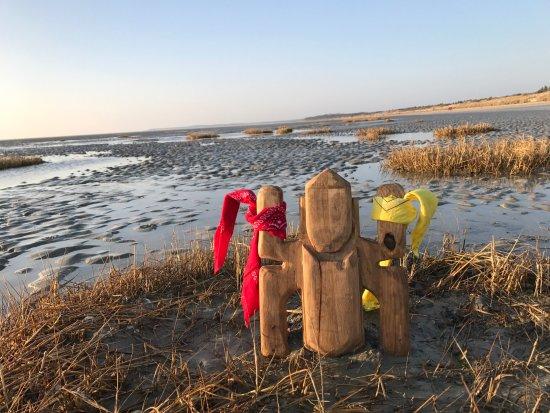 Experience Baie de Somme
