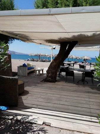 Cavos Bar