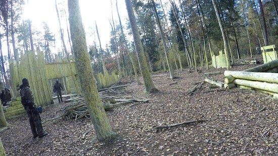 Paintball Jungle