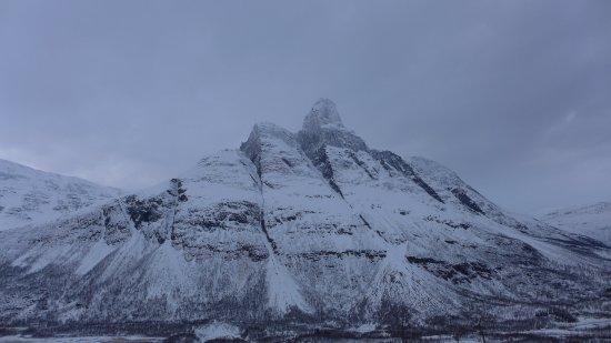 Signaldalen
