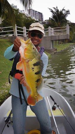 Malaysia Peacock Bass Fishing Guide